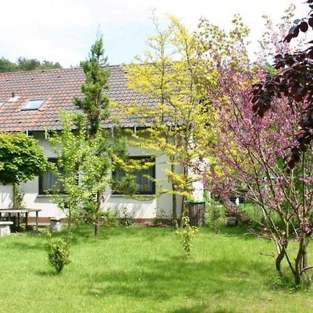 Pension Haus Zum Schlehenberg Байройт Екстериор снимка